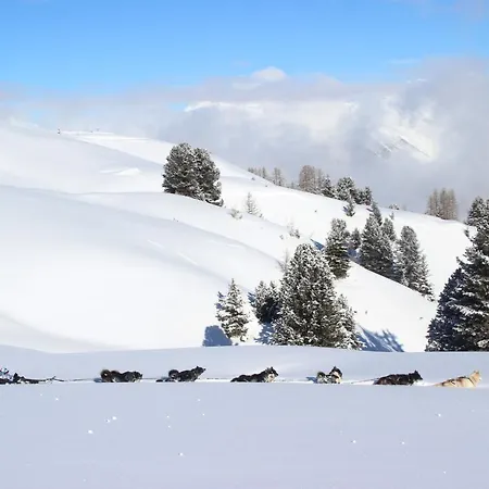 דירה Les Du Bouquetin - Marmotte לה פלאנייה