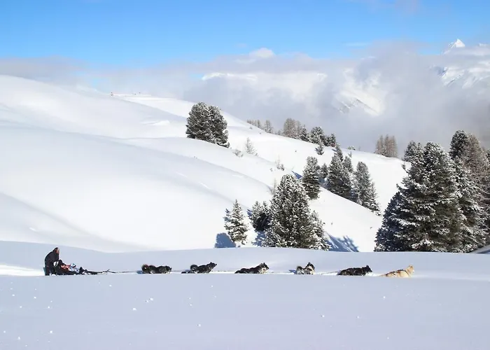 Apartmán Les Du Bouquetin - Marmotte La Plagne