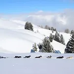 Apartamento Les Du Bouquetin - Marmotte La Plagne